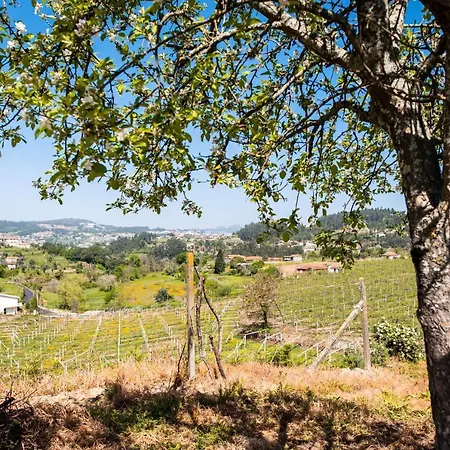 Comfortable House In Fornos With Shared Pool *