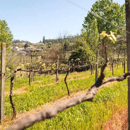 Comfortable House In Fornos With Shared Pool 펜션 Fornos (Aveiro)