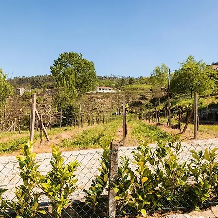 Comfortable House In Fornos With Shared Pool