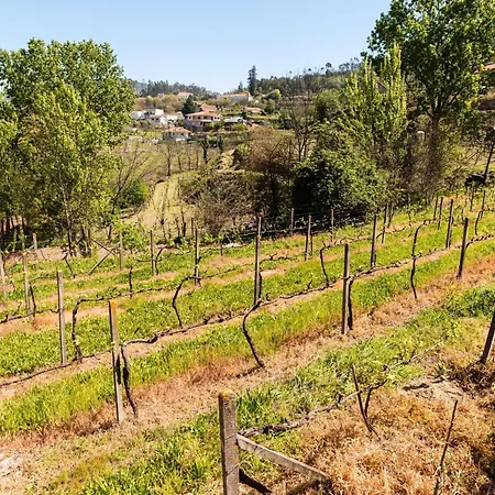 Casa de Férias Comfortable House In Fornos With Shared Pool *
