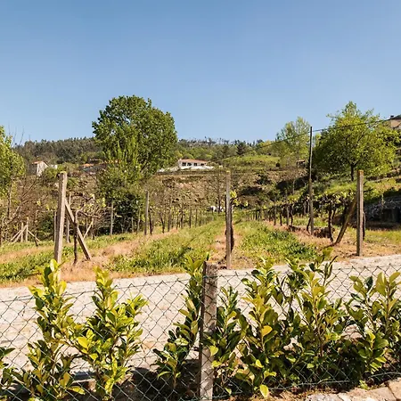 Comfortable House In Fornos With Shared Pool Ferienhaus Fornos (Aveiro)