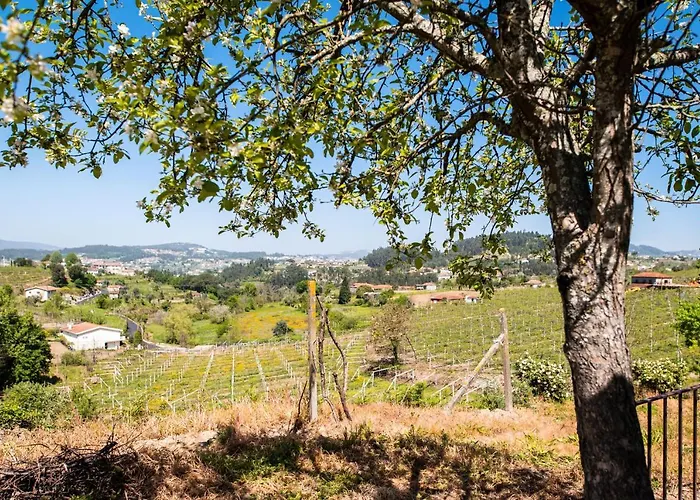 Comfortable House In Fornos With Shared Pool *