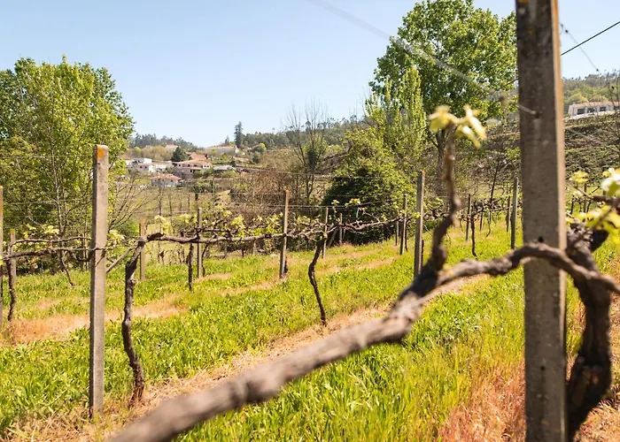 Comfortable House In Fornos With Shared Pool 別荘 Fornos (Aveiro)